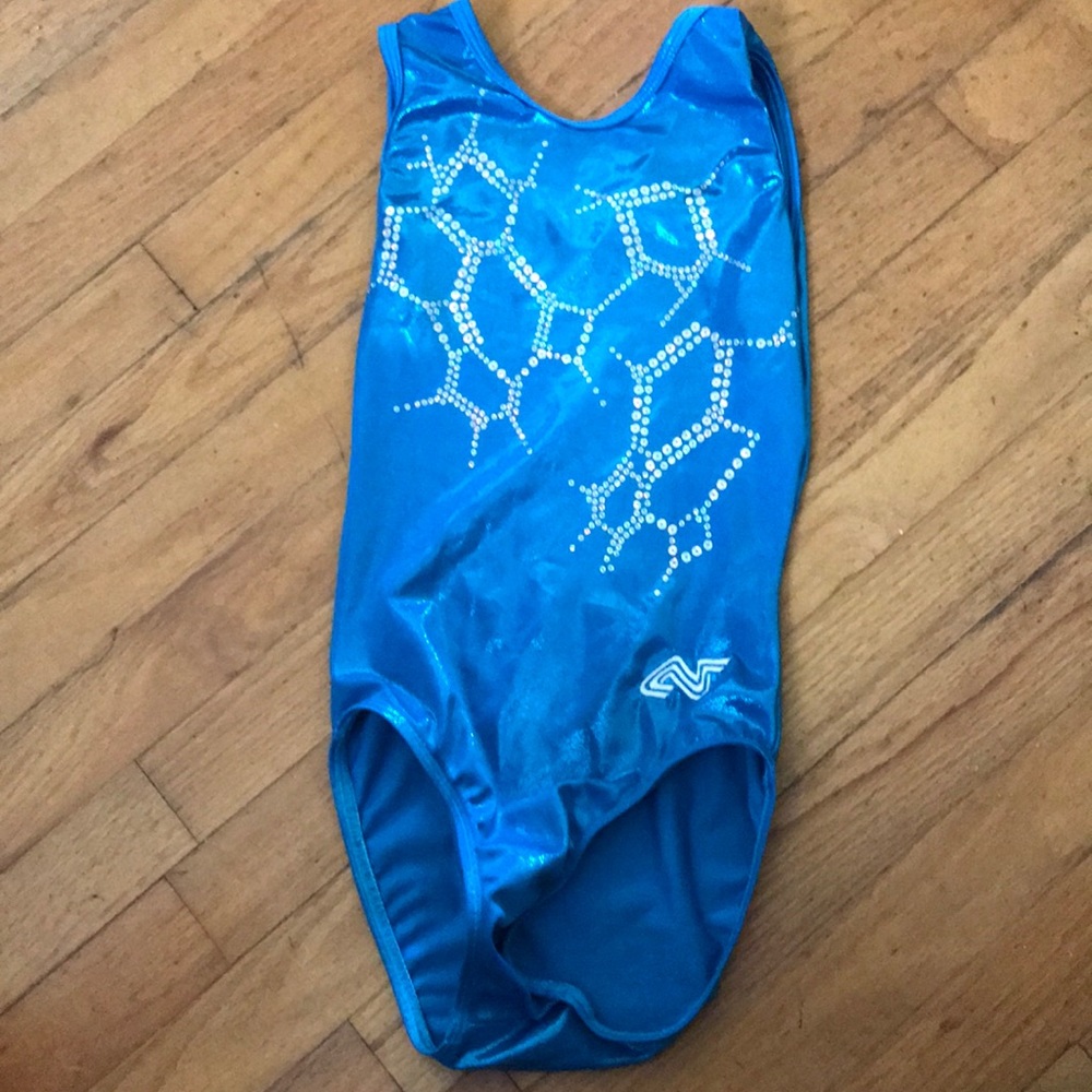 Blue Leotard